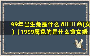 99年出生兔是什么 🐈 命(女)（1999属兔的是什么命女婚姻如何）